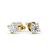 Classic Stud Earrings