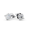 Classic Stud Earrings