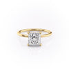 Princess Cut Lab Diamond, Plain Band & Hidden Halo
