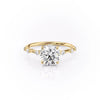 Round Cut Lab Diamond With Stone Set Shoulders